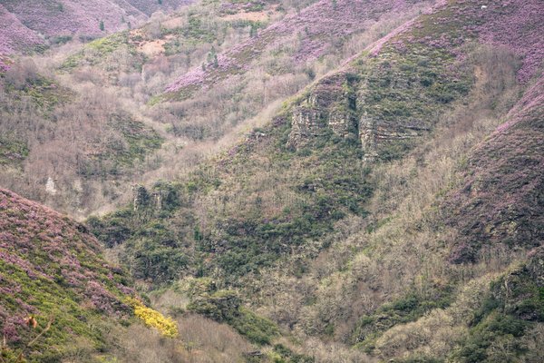 Comment établir un plan de succession efficace dans votre entreprise ?